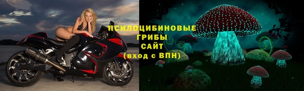 СК Абдулино