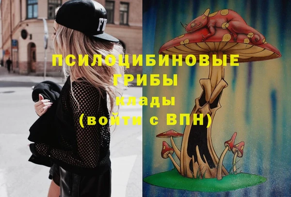 СК Абдулино