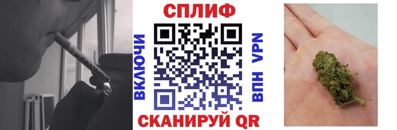 где найти   Галич  Марихуана семена 